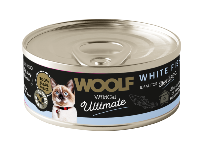 e13cb081fc63e67d7f1019399818ac87