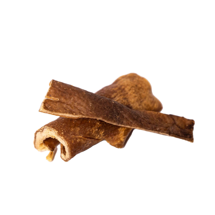 26fb318208f06a593726f015b4d44cb8